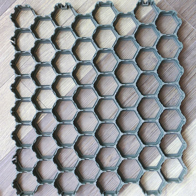 現代 デザイン の プラスチック 透き通る 格子 草原 の 保護 の ため に ドライブ ウェイ を 安定 さ せる