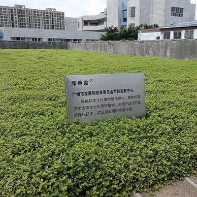 Hdpe素材とコーティングなしの仕上げで四角形のプラスチックガーデン花盆植え付け器