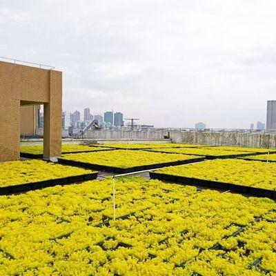 屋外植物容器 屋根 装飾用花瓶のためのプラスチックガーデンシステム プランター
