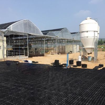 地面のためのプラスチックパブラー ジオセル 砂岩 敷地格子 馬草と農場