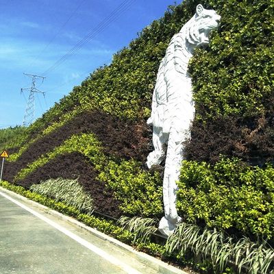 垂直庭園花盆植樹器セット 植樹器セット 日常垂直植樹用