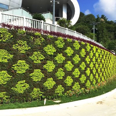 壁に吊るされた花盆植える器 垂直表示のための花/緑の植物