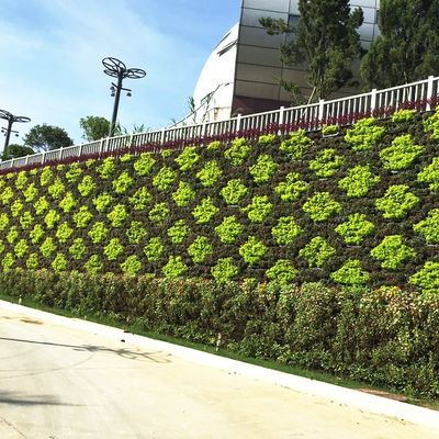 UV 保護 グリーン ウォール システム 垂直 ガーデン ポット プランター 塔 ライン 裏 庭園 屋外