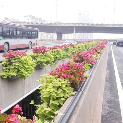 屋外 の 植え付け は,自己 灌?? の 方形 型 超 大 容器 を 用い て 麻煩 を 避け ます