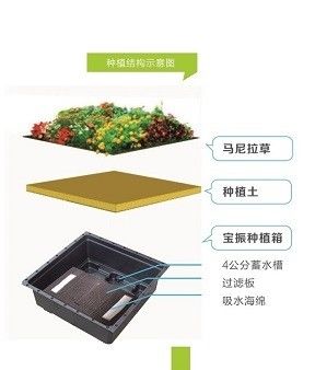 プラスチックの大きな庭園プランターと緑の植物のための四角形のセダム緑の屋根のトレイ