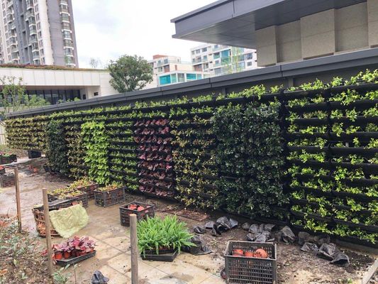 スタイリッシュな緑の壁のための外壁の緑の植物 プラスチック垂直庭園の花の積み重ねポット