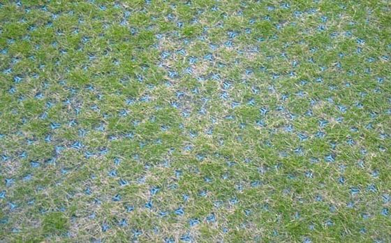 地質細胞 砂岩 舗装 舗装 土壌 強化 の 究極 の 解決策