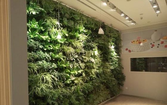 オーダーメイド グリーン ウォール PP 強い垂直 プラスチック 花器 室内/庭の装飾用