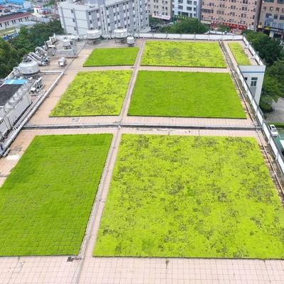 覆いなしのPPプラスチック材料を使用した植樹システムのためのモジュール型グリーン屋根トレイ