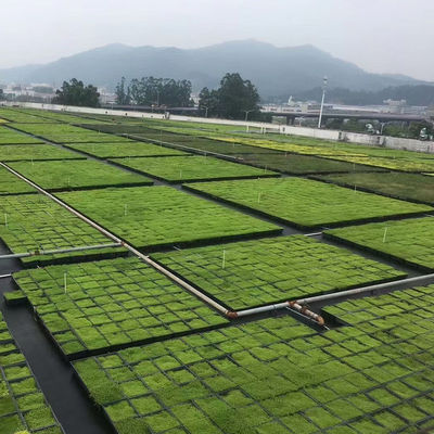 広形 緑色の屋根 モジュール PP プラスチック素材 庭 簡単に設置 植え付け トレイ