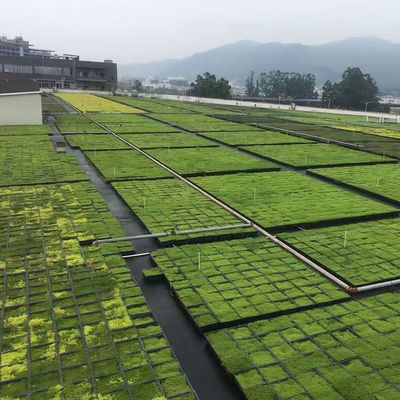 広形 緑色の屋根 モジュール PP プラスチック素材 庭 簡単に設置 植え付け トレイ